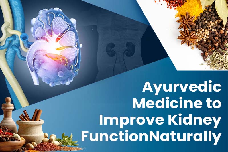 Ayurvedic Medicine to Improve Kidney Function Naturally